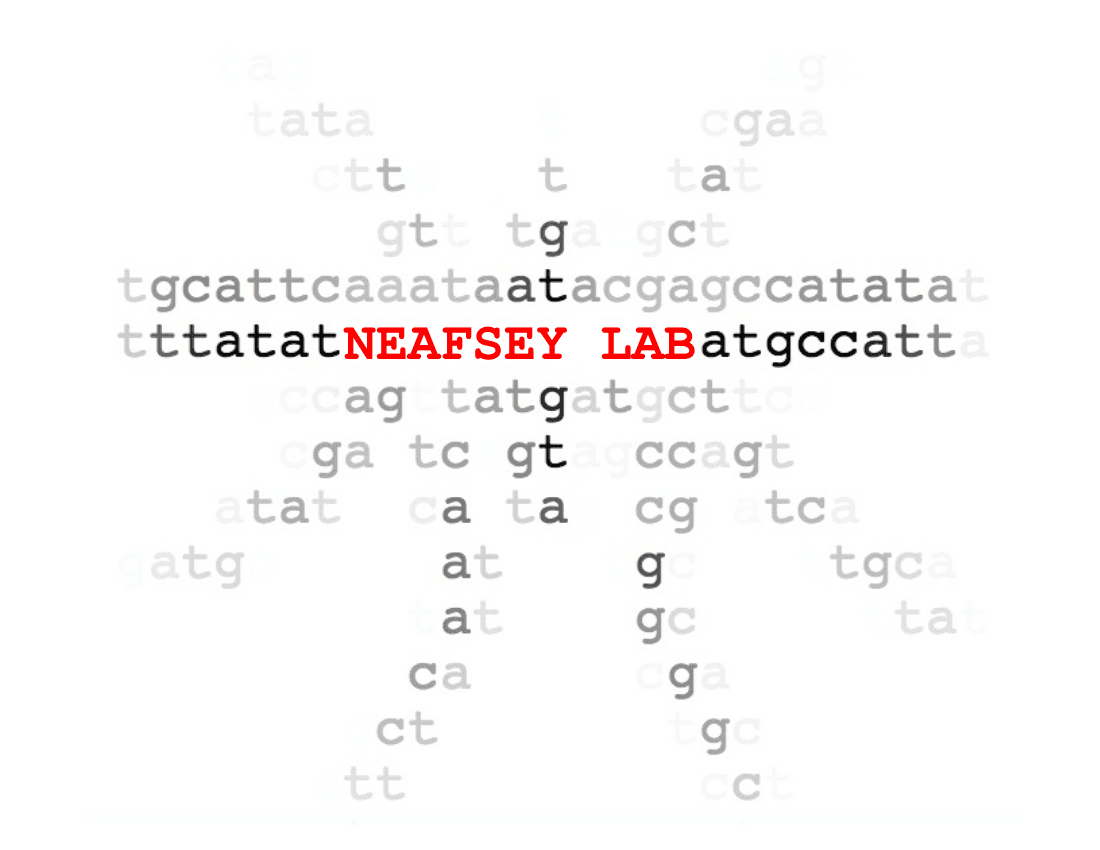 Neafsey Lab logo